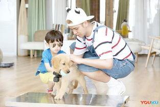 小手牵小狗小朋友资料