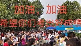 稻香网红小吃,探寻传统美食的时尚魅力