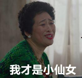 许娣 表情包,趣味横生的网络文化现象