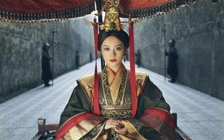 娱乐圈密探,揭秘明星幕后真相与幕后黑手