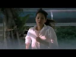 电视剧春暖花开演员表